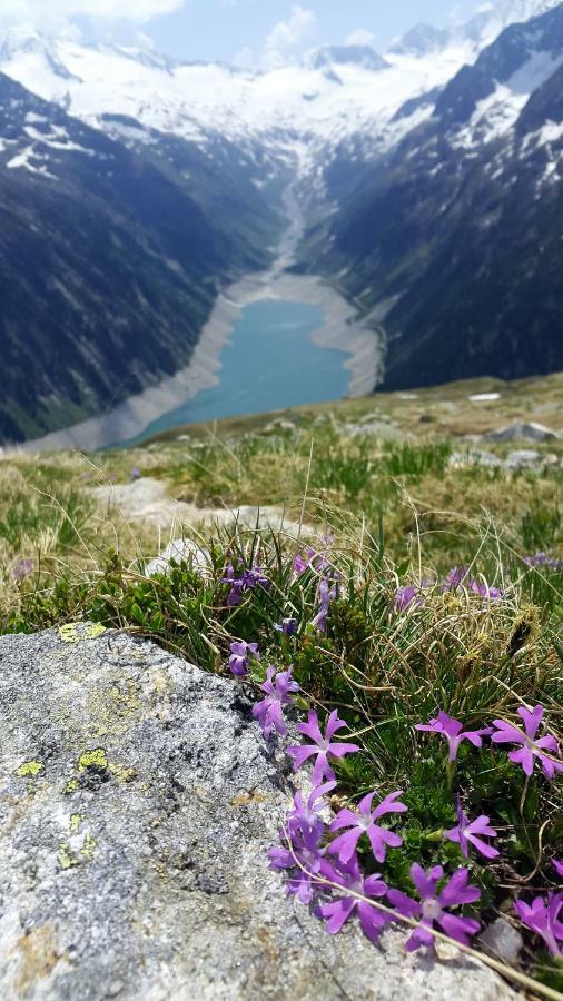 Hotel Pension Eichenhof Ried im Zillertal Dış mekan fotoğraf
