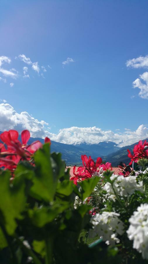 Hotel Pension Eichenhof Ried im Zillertal Dış mekan fotoğraf
